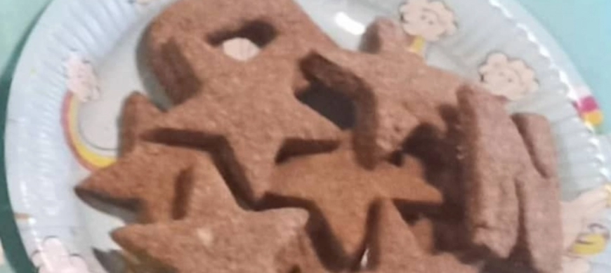 Galletas integrales de chocolate