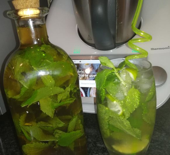 Mojito! concentrado express! siempre listo!